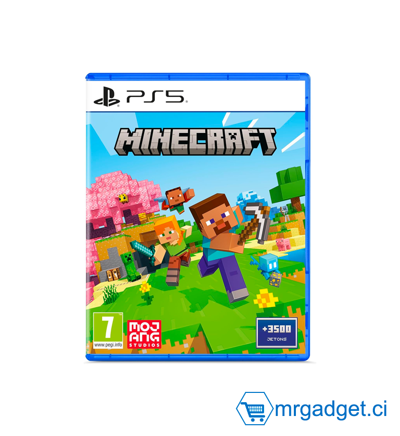 Minecraft standard - PS5