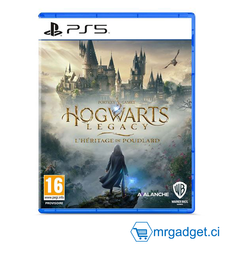 Hogwarts Legacy L'Héritage de Poudlard Harry