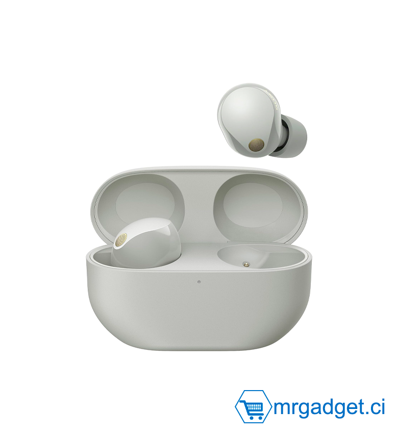 Sony WF-1000XM5 écouteurs sans Fil à réduction de Bruit, Bluetooth, Intra-Auriculaires avec Micro, 36 Heures d'autonomie, Charge Rapide, IPX4, Compatible iOS et Android - Argent