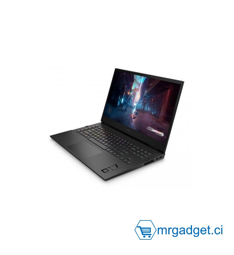 Ordinateur portable Gaming -  HP Omen 17,3" QHD 165 Hz i9-13900HX 64 Go de RAM DDR5 -  1 To SSD - Carte graphique RTX 4090 16GB - FreeDos, Pas de système d'exploitation