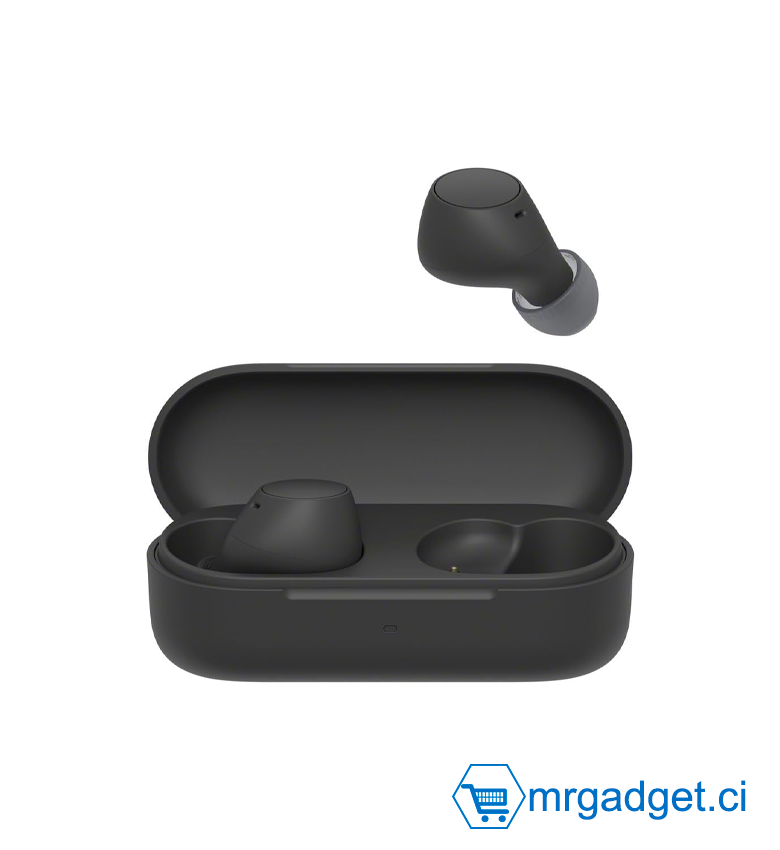 Sony WF-C510 Truly Wireless - Ecouteurs Intra-Auriculaires Bluetooth, Petits, Légers, Connexion Multipoint, Son Ambiant, IPX4, Spotify Tap, Charge Rapide, Batterie jusqu'à 22h, iOS et Android – NOIR