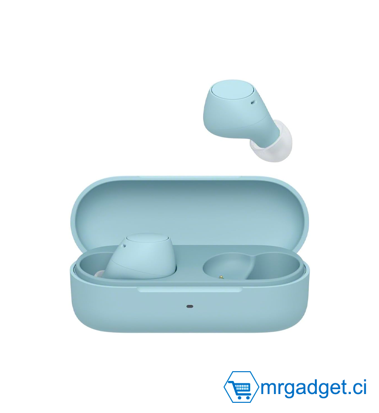 Sony WF-C510 Truly Wireless - Ecouteurs Intra-Auriculaires Bluetooth, Petits, Légers, Connexion Multipoint, Son Ambiant, IPX4, Spotify Tap, Charge Rapide, Batterie jusqu'à 22h, iOS et Android – Bleu