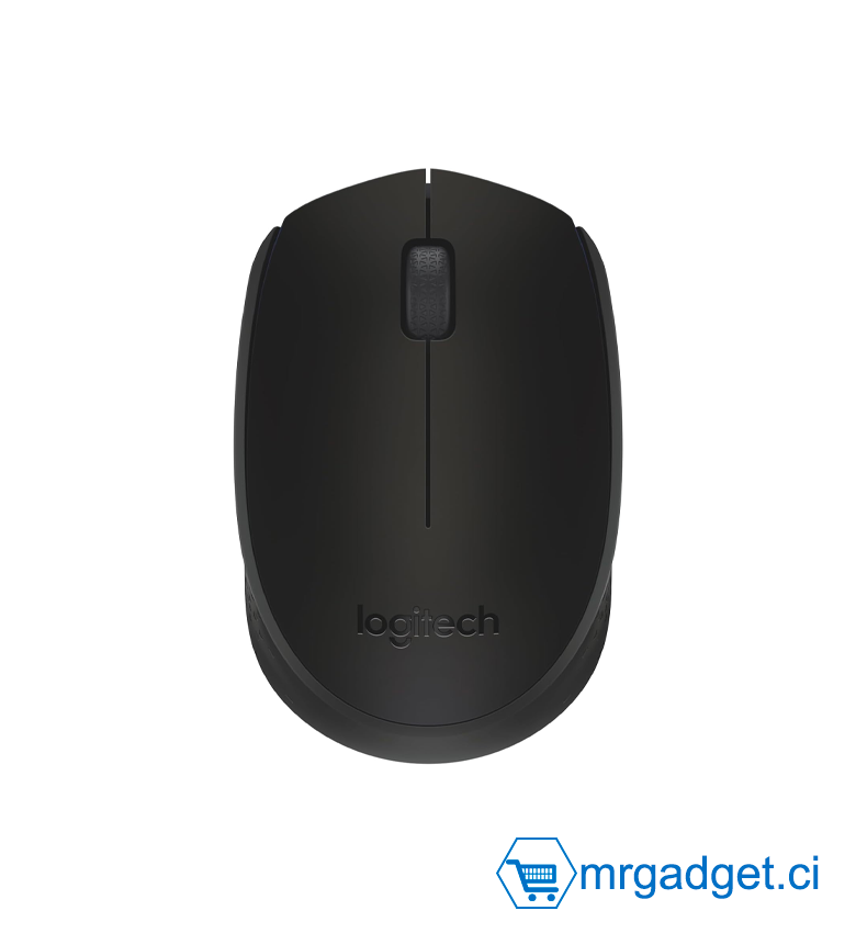 Logitech M171 Souris Sans Fil pour PC, Mac, Ordinateur portable, 2,4 GHz avec Mini-récepteur USB, Suivi Optique, Autonomie de Piles de 12 mois, Ambidextre - Noir