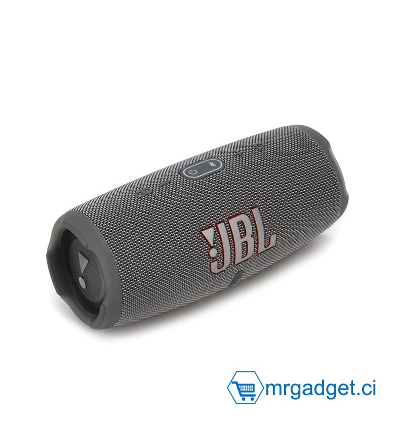 JBL Charge 5 – Enceinte portable Bluetooth avec chargeur intégré – Son puissant et basses profondes – Autonomie de 20 hrs – Etanche à l’eau et à la poussière – Gris (Grey)