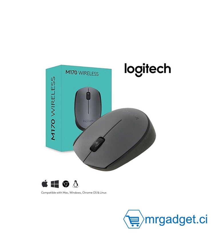 Logitech M170 Souris sans Fil, 2,4 GHz avec Nano-Récepteur, Suivi Optique, Batterie Longue Durée 12 Mois, Ambidextre, Compatible avec PC/Mac/Portable - Grise