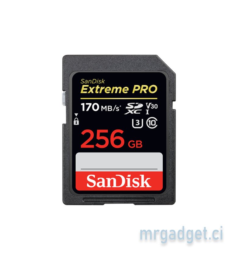 SANDISK - Carte mémoire SDXC SanDisk Extreme PRO 256 Go Jusqu'à 170 Mo/s, UHS-I, Classe 10, U3, V30