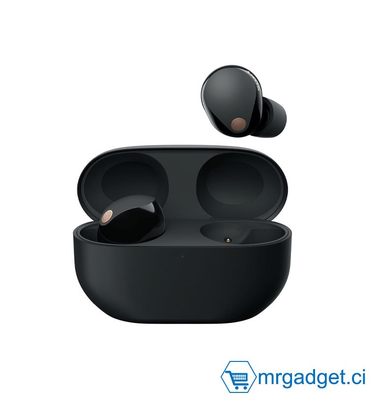 Sony WF-1000XM5 écouteurs sans Fil à réduction de Bruit, Bluetooth, Intra-Auriculaires avec Micro, 36 Heures d'autonomie, Charge Rapide, IPX4, Compatible iOS et Android - Noir