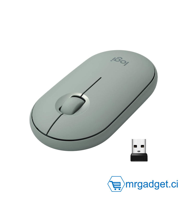 Logitech M350 Pebble Souris Sans Fil, Bluetooth ou 2,4 GHz avec Mini Récepteur USB, Souris pour Ordinateur avec Clic Sliencieux, Portable/Notebook/PC/Mac/iPad OS/Chromebook Mouse - Vert