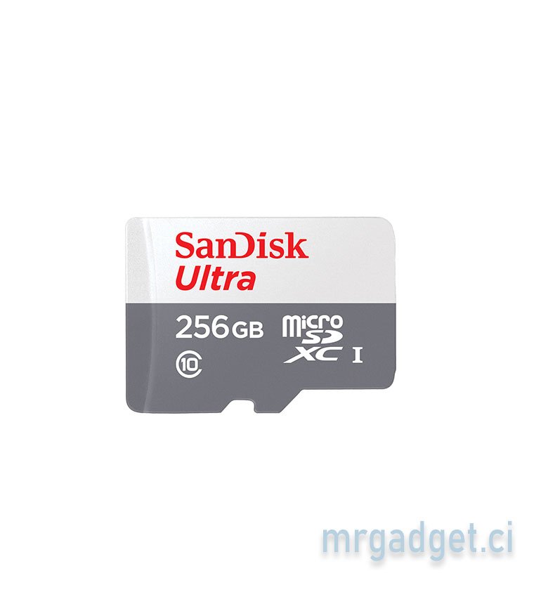 SANDISK - Carte mémoire - 256 Go Carte microSD Extreme avec