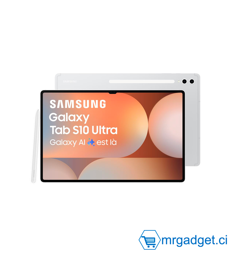 Samsung Galaxy Tab S10 Ultra 14.6'' WiFi 256 Go, Tablette Android avec Galaxy AI, Argent, S Pen