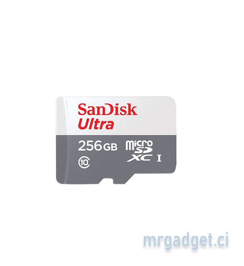 SANDISK - Carte mémoire - 256 Go Carte microSD Extreme Idéal pour les Caméras d'Action & Drones - Noir