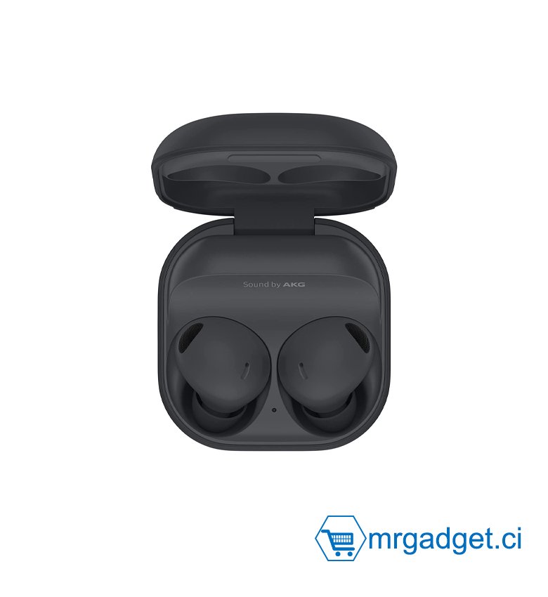 Samsung Galaxy Buds2 Pro, écouteurs Bluetooth, sans Fil, réduction Active de Bruit, étui de Chargement, Son de Qualité Hi-FI, résistant à l’Eau, Anthracite, Audio 360, qualité Appel