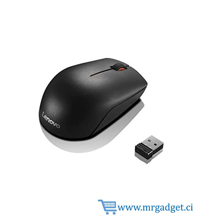 Souris compacte sans fil Lenovo GX30K85315 300, noir