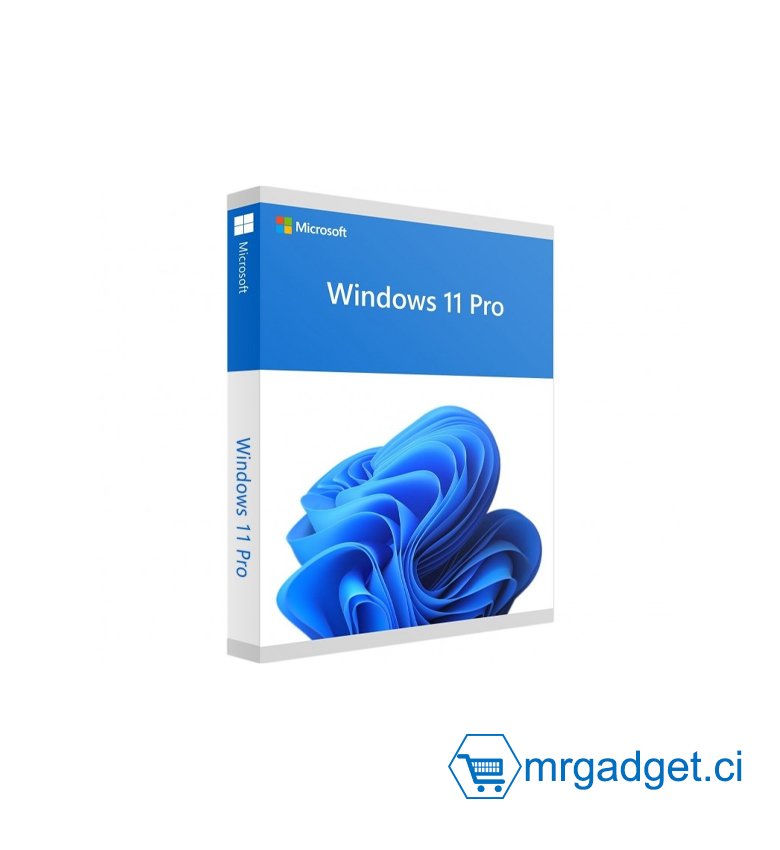 Licence numérique impression carton  (voir seconde photo) - Microsoft Windows 11 Pro 64 bits