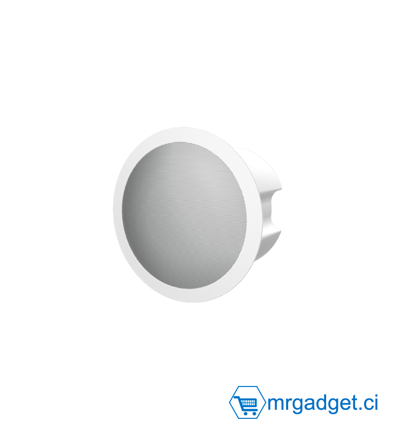 FANVIL FH-S01 - Haut-parleur / Microphone de plafond SIP - 20W avec ampli de classe D intégré